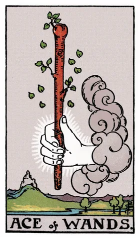 Ace of Wands Tarot card