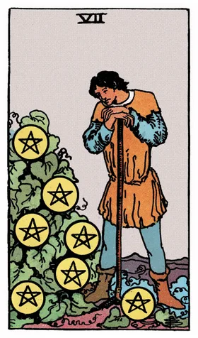 Seven of Pentacles Tarot card